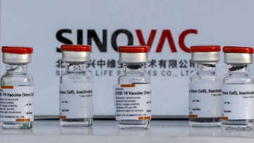 Lima Juta Vaksin Sinovac Tiba Di Tanah Air