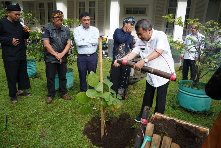 Bupati Garut : Pohon Samida akan dijadikan sebagai ikon Kabupaten Garut