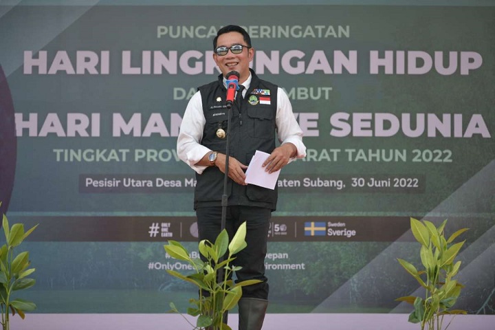 Gubernur Jawa Barat Minta Gencarkan Penanaman Jutaan Bibit Mangrove di Pesisir Utara