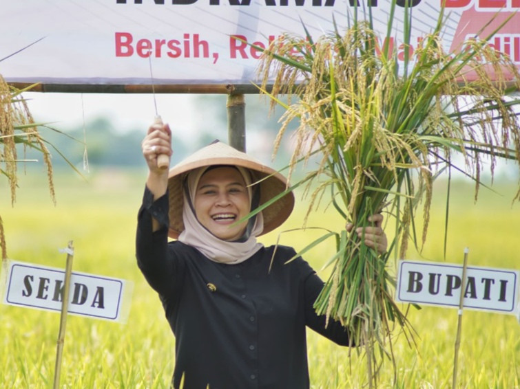 1.000 Hektare Sawah Indramayu Jadi Pilot Project Pertanian Organik di Indonesia