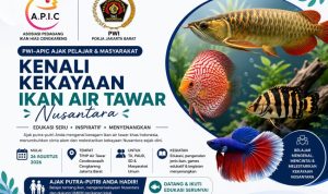 IMG-20260813-WA0029