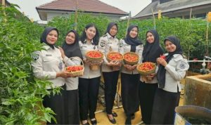 image_1680x_6ad8eabd98124